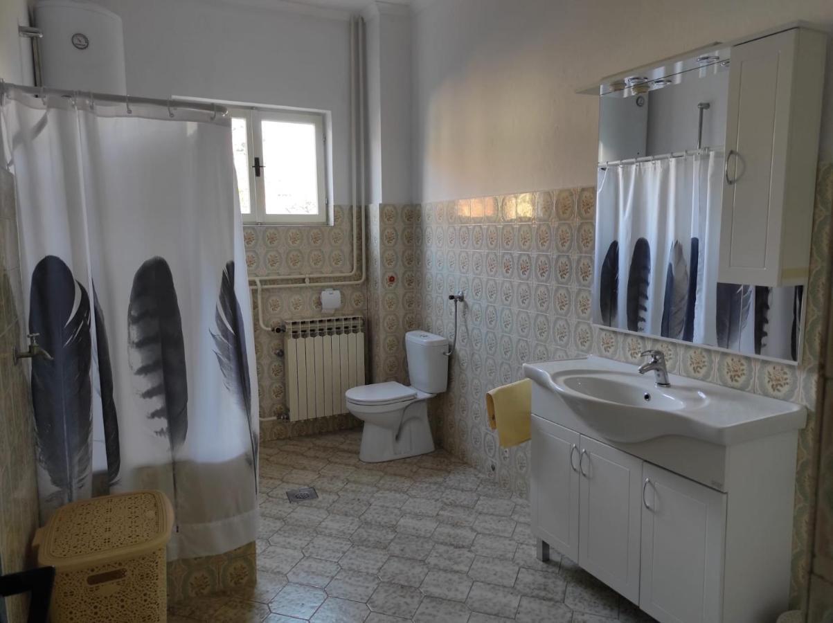 Apartman Vlado زادار المظهر الخارجي الصورة
