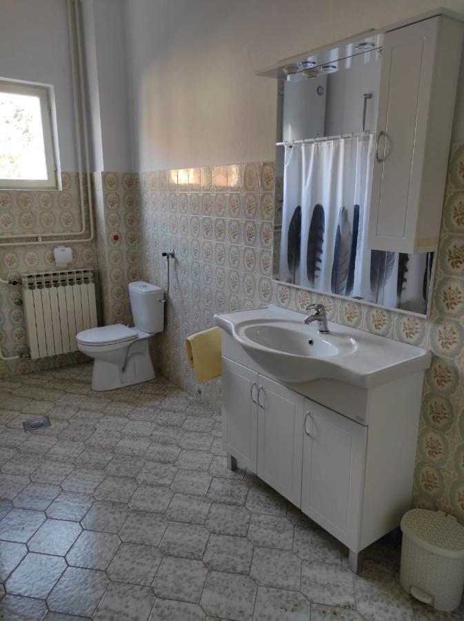 Apartman Vlado زادار المظهر الخارجي الصورة