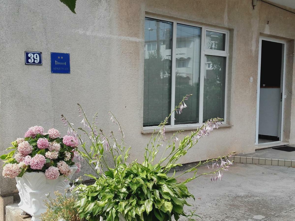 Apartman Vlado زادار المظهر الخارجي الصورة