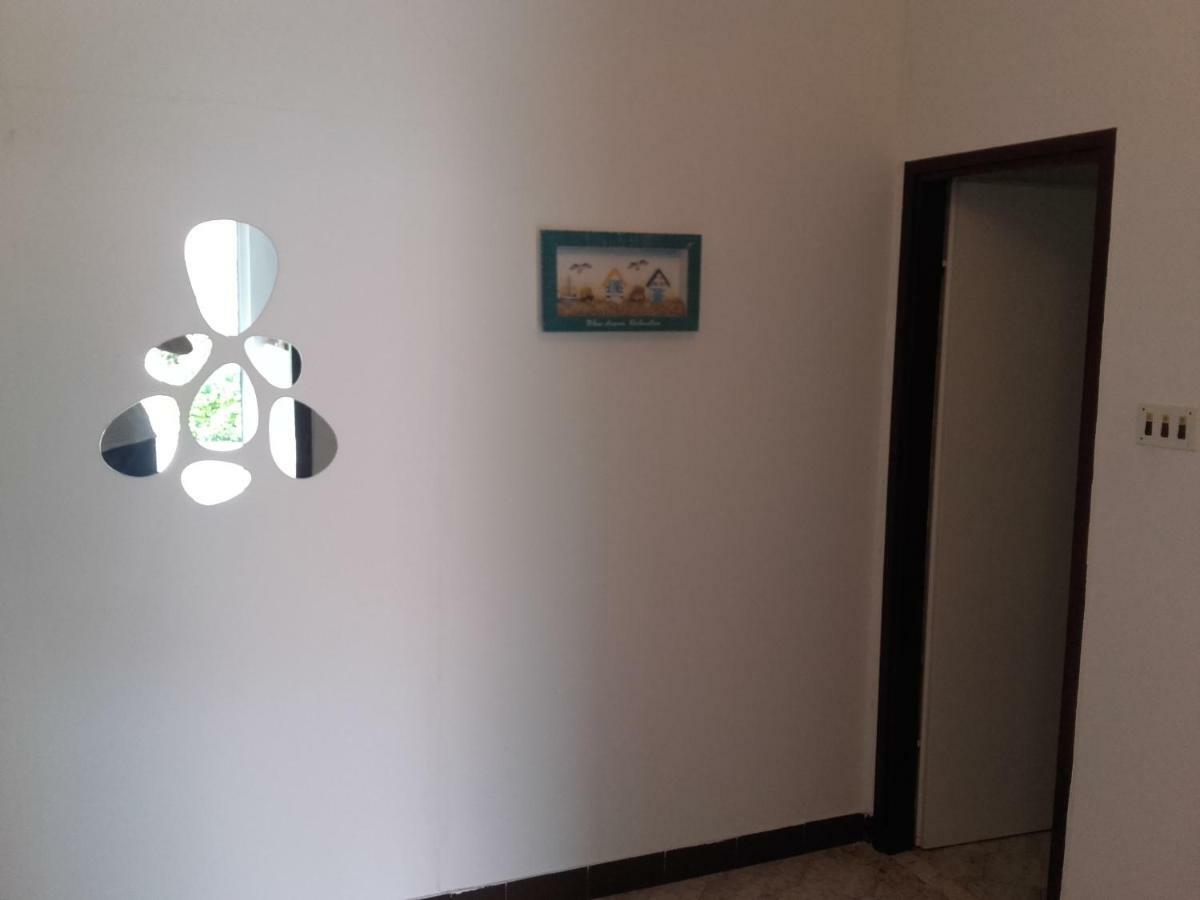 Apartman Vlado زادار المظهر الخارجي الصورة